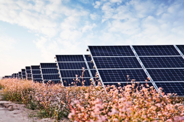 中國華能的“高性價(jià)比”光伏電站，妙招在這里！